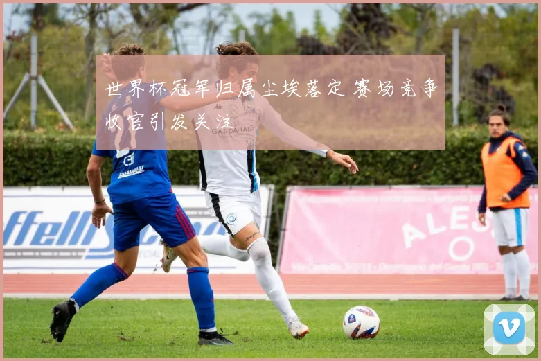 世界杯冠军归属尘埃落定 赛场竞争收官引发关注
