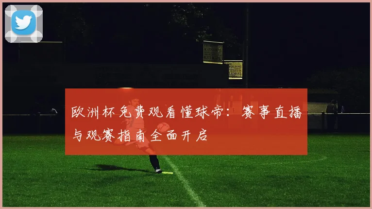 欧洲杯免费观看懂球帝:赛事直播与观赛指南全面开启