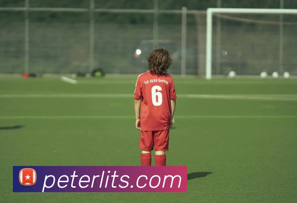 App Interface Preview